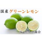 みかん 柑橘類 レモン 和歌山産グリーンレモン約3kg