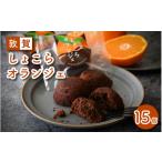 焼菓子 チョコレート 敦賀 しょこらオランジェ 15個