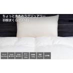 タオル 寝具 枕 河田フェザー使用 AD1 ちょっと大きめラグ…