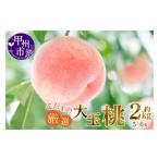 ふるさと納税 もも 山梨県 甲州市 甲州市産厳選旬の桃大玉 約2kg 5〜6玉入り 2025年発送 (MG)B-481 桃 もも モモ 令和7年発送 期間限定 大玉 山梨県産 甲州…