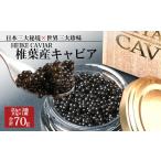 魚貝類 桐箱入り HEIKE CAVIAR 70g