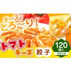 餃子 トマトチーズ餃子 120個入り