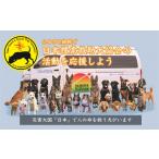 感謝状等 思いやり型返礼品 熊本地震 動物支援