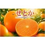 みかん 柑橘類 とろける食感 ジューシー柑橘