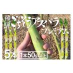野菜類 アスパラガス プレミアムアスパラ