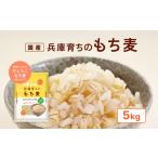 雑穀 兵庫育ちのもち麦 5kg