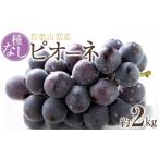 和歌山産たねなし柿2L~4Lサイズ 約2kg
