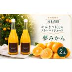果汁飲料 みかん 柑橘100%ストレートジュース