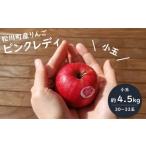 ふるさと納税 りんご 長野県 松川町 PL01-25A ピンクレディー? （小玉）希少なりんご 約4.5kg／2026年1月中旬から発送｜ピンクレディ 硬め 長野県 南信州 松川…