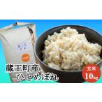 ふるさと納税 米 ひと