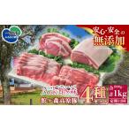 豚肉 セット 定期便 全12回 4種