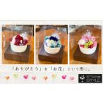 花 プリザーブドフラワー クリアケース付き