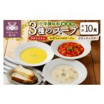 惣菜 レトルト 冷凍 化学調味料無添加スープ10食セット