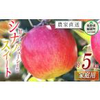 ふるさと納税 りんご 長野県 飯綱町 りんご シナノスイート 家庭用 5kg マルカズりんご農園 沖縄県への配送不可 2025年10月中旬頃から2025年10月下旬頃まで順…