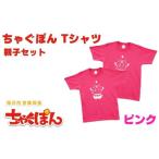 �ӂ邳�Ɣ[�� �� �j ��茧 ���s AI-013 ���L�����u���Ⴎ�ۂ�vT�V���c�i�s���N�j�y�A�Z�b�g