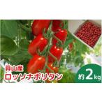 トマト 亮麻農園 イタリアントマト ロッソナポリタン 2kg