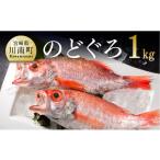 魚貝類のどぐろ 川谷水産厳選 アカムツ 約1kg