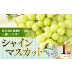 ふるさと納税 ぶどう マスカット 鹿児島県 薩摩川内市 先行予約 数量限定 鹿児島県産シャインマスカット 1kg (1〜4房) 〔7月下旬~8月上旬に発送〕 AS-479