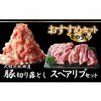 豚肉 焼肉 バーベキュー セット~その弐~