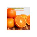 ふるさと納税 みかん・柑橘類 和歌山県 印南町 津之輝(つのかがやき)　５ｋｇ［2027年2月上旬頃から2027年2月下旬頃に順次発送］［UT21］