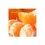 ふるさと納税 みかん・柑橘類 和歌山県 上富田町 果肉ぷりぷり 完熟はるみ　５ｋｇ［2027年2月上旬頃〜2027年2月下旬頃に順次発送］［UT22］