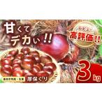 ふるさと納税 果物類 栗 山口県 美祢市 先行予約 甘くて デカい 厚保くり ( 生栗 ) 3kg 山口美祢産 先行予約 2025年10月上旬 〜 11月中旬 に発送予定 2Lサイ…