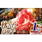 牛肉 秋吉台 高原牛 切り落とし 合計 1kg