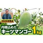 ショッピングふるさと納税 マンゴー ふるさと納税 マンゴー 沖縄県 南風原町  2026年発送 南風原農園　丹精込めた「キーツマンゴー」1kg