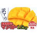 ショッピングふるさと納税 マンゴー ふるさと納税 マンゴー 沖縄県 南風原町  訳あり 2026年発送　金城農園のマンゴー1.5kg