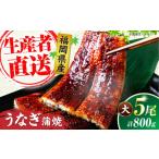 うなぎ 蒲焼 大5尾 合計 800g