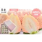 ふるさと納税 いちご 佐賀県 唐津市 『先行予約』 令和8年1月より順次発送 白いちご 雪うさぎ 450ｇ入り化粧箱（佐賀県唐津市限定生産）苺 イチゴ 希少 果物 …