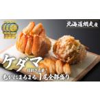 ふるさと納税 エビ・カニ等 カニ 北海道 網走市 網走産 ケダマ 毛がにまるまる1尾全部盛り×1尾入 毛蟹 毛ガニ 毛がに ケガニ 蟹 ガニ かに 網走 オホーツク…