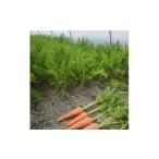 fu.... налог овощи вид морковь Tokushima префектура индиго . блок Tokushima префектура индиго . блок производство весна морковь примерно 5kg 1142299