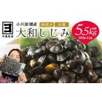 魚貝類 しじみ 砂抜き済みで手間いらず 冷凍