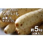 野菜類 特産ながいも A2L 6本入