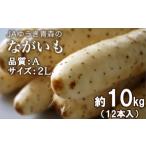 野菜類 特産ながいも A2L 12本入