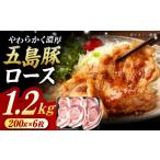 五島豚 極厚ロース1.2kg 200g×6枚