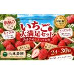 いちご 24M. 小林農園 味自慢 いちご大満足セット
