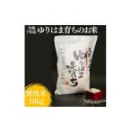 ふるさと納税 米 コシヒカリ 鳥取県 湯梨浜町 321K.ゆりはま育ちのお米 無洗米10kg 令和7年産 コシヒカリ無洗米5kg×2袋(令和7年産)