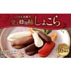 菓子 みのかも金蝶堂 堂上蜂屋柿しょこら 16個