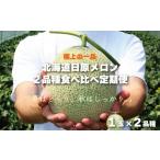 ふるさと納税 メロン メロン赤肉 北海道 栗山町 極上の一品「日原メロン」1玉×2品種食べ比べ定期便 北海道産赤肉メロン F013