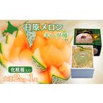 ふるさと納税 メロン メロン赤肉 北海道 栗山町 大玉「日原メロン(キング種)」(2.0kg相当×1玉 北海道産)カラー化粧箱入り D018