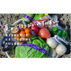 fu.... налог комплект *... Hokkaido каштан гора блок большой земля. ..[ свежий лето овощи комплект ] B035