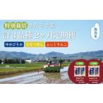 ふるさと納税 無洗米 北海道 栗山町  無洗米2ヶ月定期便 特別栽培「きなうす米」3品種セット10kg×2回　H002