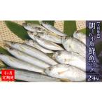 旬の鮮魚等 6ヶ月定期便 大和海商の朝どれ鮮魚小魚パック2.…