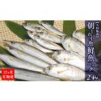 旬の鮮魚等 12ヶ月定期便 大和海商の朝どれ鮮魚小魚パック2…