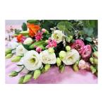 花 年4回春夏秋冬 季節のお花バラエティセット定期便