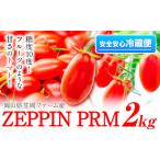 B-138a 高糖度ミニトマト ZEPPIN