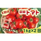 fu.... налог помидор мини помидоры Kochi префектура дешево рисовое поле блок дешево рисовое поле блок производство свежий помидор 1kg установленный срок рейс 2 раз отправка скорейший предварительный заказ 2 месяцев установленный срок рейс помидор 1kg свежий овощи .... лето овощи период...