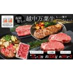 牛肉 サーロイン 高岡育ちの越中万葉牛 もっと贅沢プレミア…